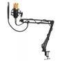 Imagem de Microfone Condensador Bm800+ Pop Filter+ Aranha+ Braço Artic