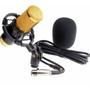 Imagem de Microfone Condensador Profissional Bm800 Estúdio Shock Mount  mini tripé gravar músicas