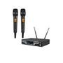 Imagem de Microfone s/ fio Profissional Dylan  Multi frequencia -- Duplo (2 bastões) -- D-8000S