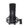 Imagem de Microfone Stagg Usb Condenser Cardioide Sum45 Set