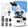 Imagem de Microscópio Binocular Composto PalliPartners - Ampliação de 40X a 2000X