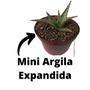 Imagem de Mini Argila Expandida 10 Litros jardinagem drenagem substrato plantio cobertura de vasos paisagismo cactos e suculentas bonsai formato akadama