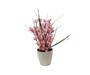 Imagem de Mini Arranjo Cerejeira Sakura Artificial - Vaso Rattan Branco