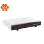 Imagem de Mini Base Pet Dog (13x45x65) Bege e Marrom