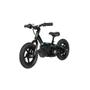 Imagem de Mini Bicicleta Elétrica Infantil Balance Bike Aro 12 120w - Ar-12