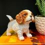 Imagem de Mini Cachorro Cavalier King Charles Spaniel Decorativo