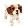 Imagem de Mini Cachorro Cavalier King Charles Spaniel Decorativo