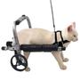 Imagem de Mini Cadeira De Rodas Para Gato Cachorro Porte Mini e Micro PPP Regulável Pet Best Soluções