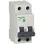 Imagem de Mini Disjuntor Bipolar 10A EZ9F33210 Schneider