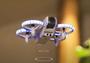 Imagem de Mini Drone Gt3 Pronto Para Uso Sensor De Obstáculo E Altitude