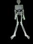 Imagem de Mini Esqueleto Humano Articulado 80 Cm Halloween- Kit 2un