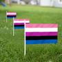 Imagem de Mini Flag Anley Genderfluid Rainbow LGBT 5x8 em pacote com 12