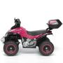 Imagem de Mini Moto Quadriculo Elétrico Menina Menino Infantil 6v 4x4 Rosa Com Detalhes Preto - Importway