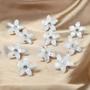Imagem de Mini Presilhas De Cabelo Trançadas Com Flores (10 Peças)  Acessórios Para Penteados Diários E