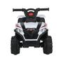 Imagem de Mini Quadriciclo Elétrico Infantil 6V - Zippy Toys