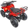 Imagem de Mini Quadriciclo Infantil Gasolina Atv 49CC 2T Partida Elétrica Cross Off Road Vermelho Importway