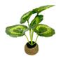 Imagem de Mini Vaso com Planta Artificial Modelo.1 CB1326 - Moment