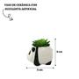 Imagem de Mini Vaso De Cerâmica Com Suculenta Artificial Decoração