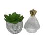 Imagem de Mini vaso de vidro com suculenta e Santa porta água benta Nossa Senhora Aparecida