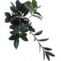 Imagem de Mini Zamioculca Black Dowon Planta Rara Exótica Com Vaso Decoração Para Interiores
