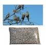 Imagem de Mistura Calopsita Ração Periquito Agaporne 1,3 ou 5 Kg Pássaro Sementes