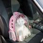 Imagem de Mochila para Transporte Rosa Pequenos Passeio Cães e Gatos