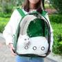 Imagem de Mochila Verde para Transportar Pets Cães e Gatos Panorâmica