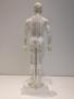 Imagem de Modelo De Corpo Humano Masculino Pontos de Acupuntura 50 cm