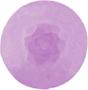 Imagem de Molde Rosa - Gmezn1273