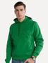 Imagem de Moletom Lacoste Masculino Hoodie Padded Croco Verde