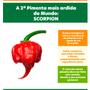 Imagem de Molho de Pimenta Scorpion D'horta 150ml - A 2ª Mais picante