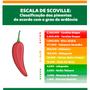 Imagem de Molho de Pimenta Scorpion D'horta 150ml - A 2ª Mais picante