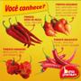 Imagem de Molho Pimenta Cremosa Com Azeitonas Ardência Moderada 80ml Bahia Premium Até 4 Sabores