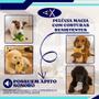 Imagem de Mordedor de Pelúcia Brinquedo para Pets Com Apito Macio Resistente Lavável 