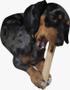 Imagem de Mordedor woodnpets brinquedo sustentavel rustico med amicus