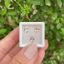 Imagem de Morganita Oval SET 2,07ct