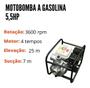 Imagem de Motobomba A Gasolina 5,5Hp Cavalos Iwmbg4T55