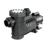 Imagem de Motobomba Bas 033 1/3Cv 110/220V Weg Autoescorvante Netuno