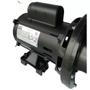 Imagem de Motobomba Para Piscinas Dancor Motor Weg Pratika PF-17W 50MM 1,0CV M 127/220/254V