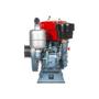 Imagem de Motor a Diesel Toyama TDWE18-XP 16.5 HP com Sifão e Injeção Direta
