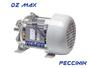 Imagem de Motor Avulso Pcmt 0242 3/4 HP Peccinin Modelo Dz Max Mono 220V
