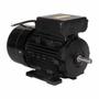 Imagem de Motor Elétrico 3CV 1748RPM Monofásico Bivolt 127/220V 60Hz Com 4 Pólos IP55 YL100L1-4 Lynus