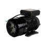 Imagem de Motor Elétrico 3CV 1748RPM Monofásico Bivolt 127/220V 60Hz Com 4 Pólos IP55 YL100L1-4 Lynus