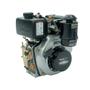 Imagem de Motor Multiuso Diesel TDE50BXP 4.7HP 4T Toyama