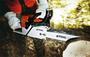 Imagem de Motosserra MS 361 - STIHL