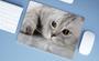 Imagem de Mouse Pad Emborrachado Personalizado Gatos Cat Felino, 40x30