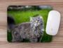 Imagem de Mouse Pad Emborrachado Personalizado Gatos Cat Felino