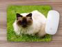 Imagem de Mouse Pad Emborrachado Personalizado Gatos Cat Felino