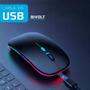 Imagem de Mouse Sem Fio Usb Recarregável Bluetooth Led Rgb Ergonômico