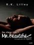 Imagem de Mr. beautiful - vol. 4